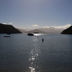 Picton Harbour