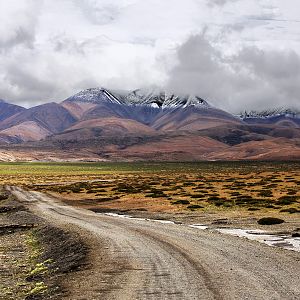 IMG_5141 Copy
