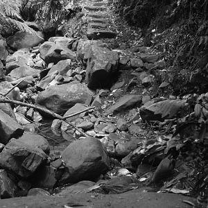 Bridge Washed Away, Myrtle Forest Reserve, Collinsvale, Tasmania