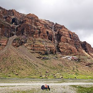 IMG_5235